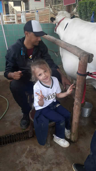 Bicho Mania 2022